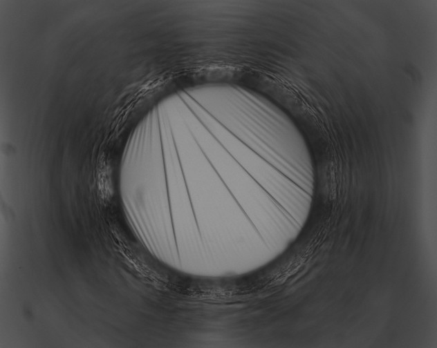 X0000090480962200708031121