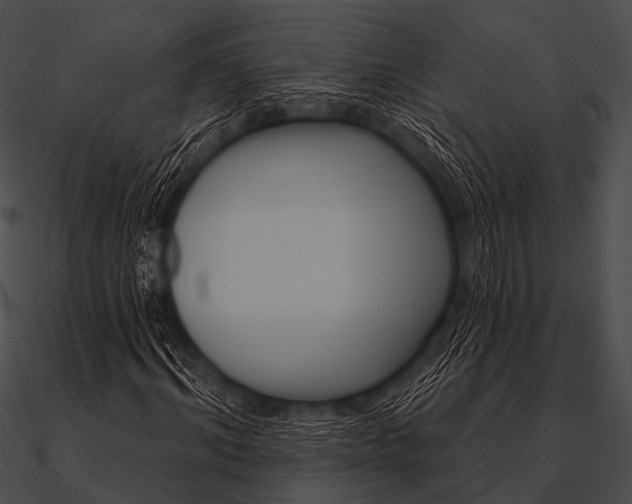 X0000090480964200708031121