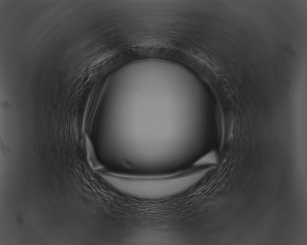 X0000090480965200708031121