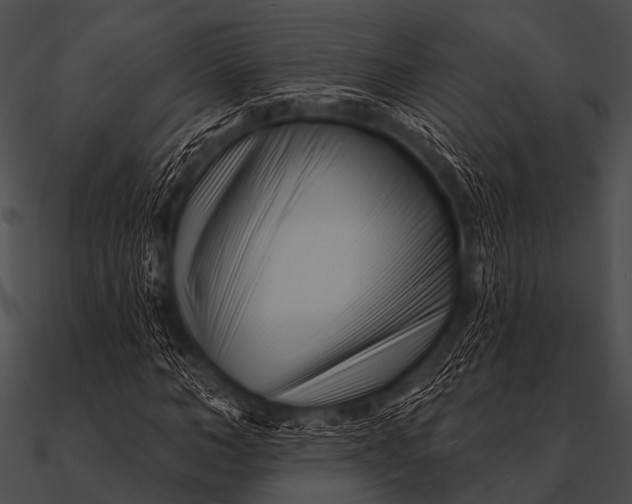 X0000090480966200708031121