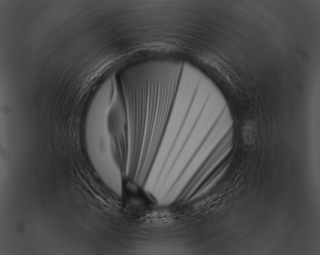 X0000090480968200708031121