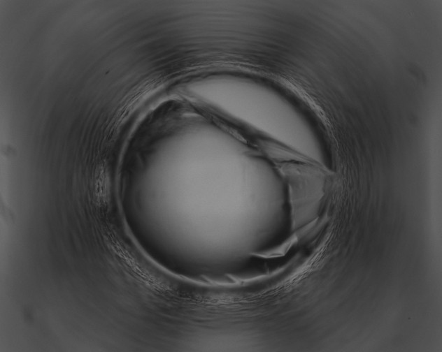 X0000090480969200708031121