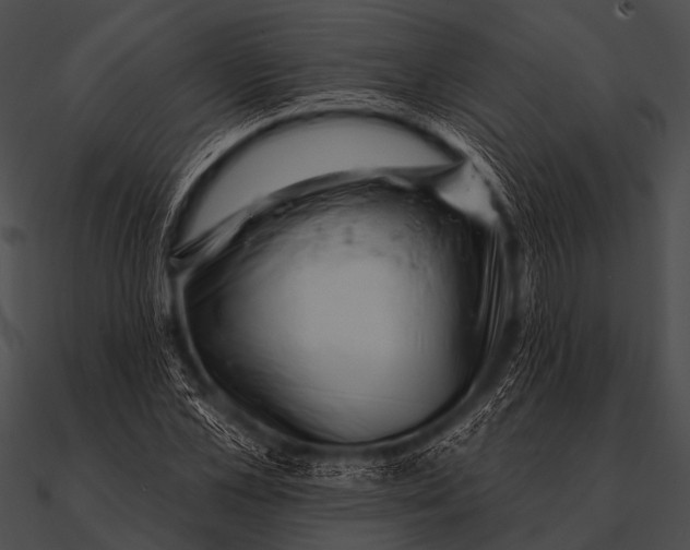 X0000090480973200708031121