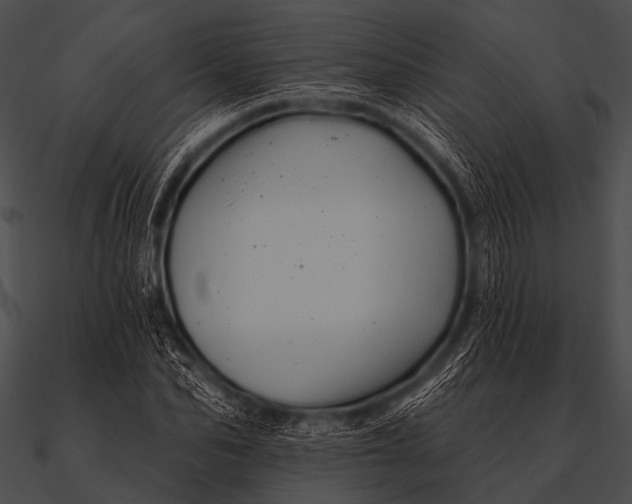 X0000090480974200708031121