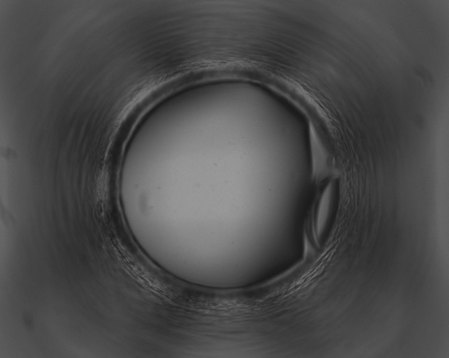X0000090480975200708031121