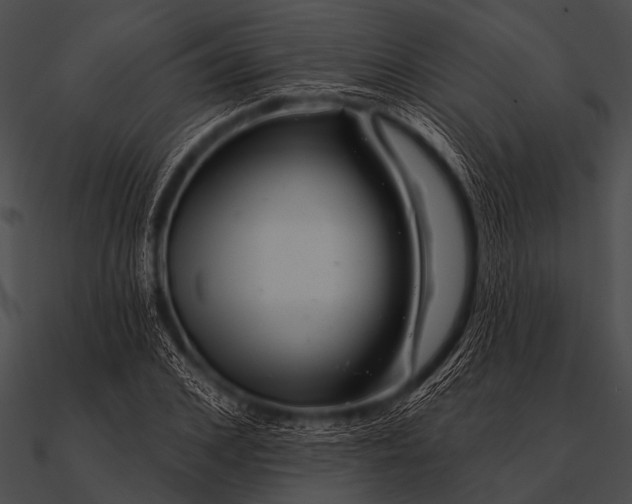 X0000090480976200708031121