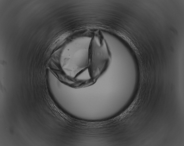 X0000090480977200708031121