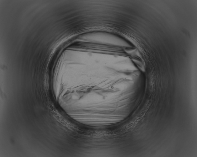 X0000090480979200708031121
