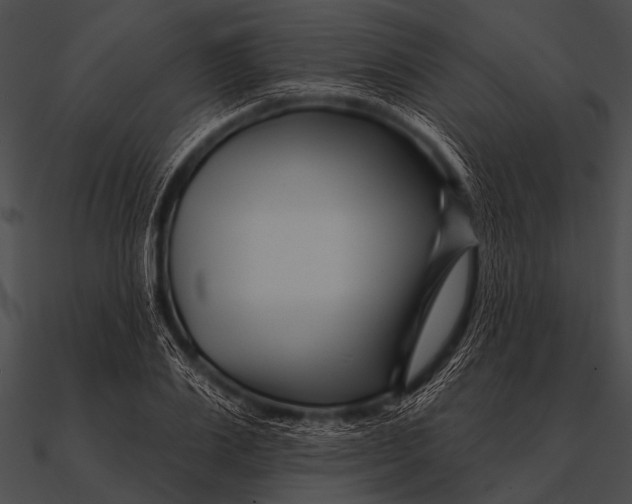 X0000090480983200708031121