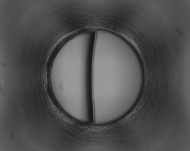 X0000090480984200708031121