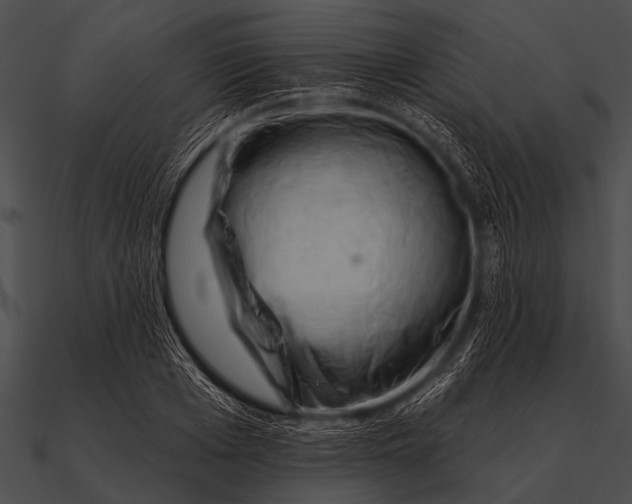 X0000090480985200708031121