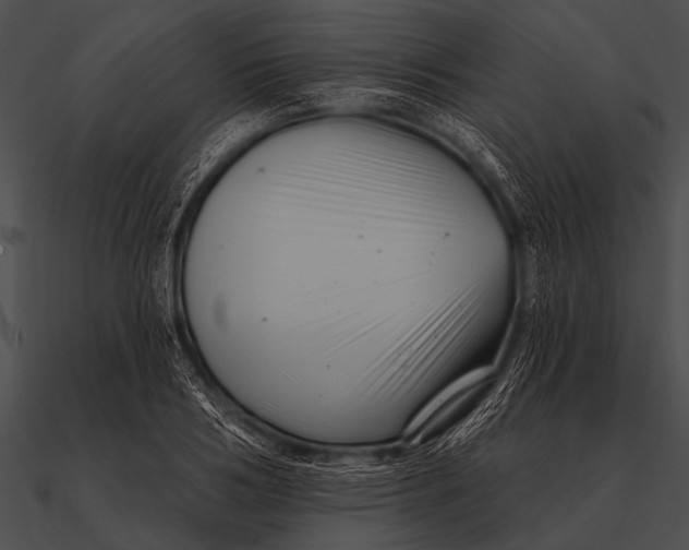 X0000090480986200708031121