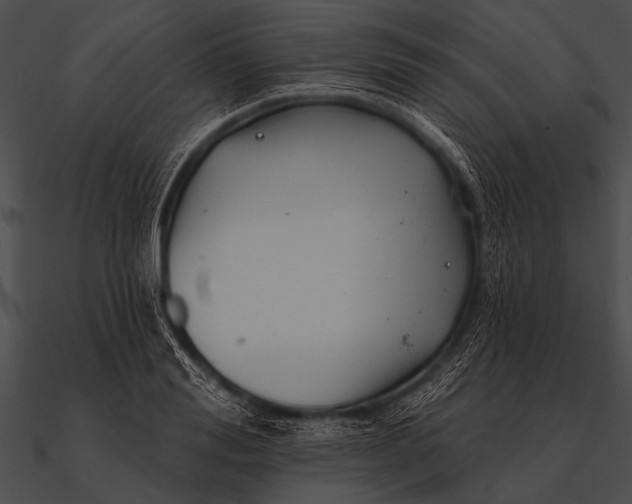 X0000090480988200708031121