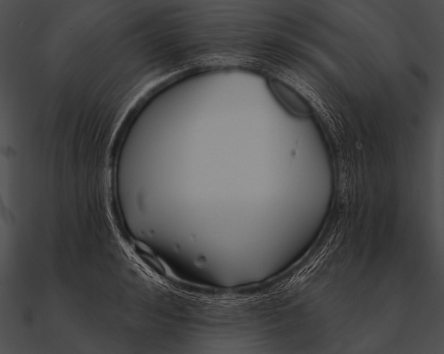 X0000090480992200708031121