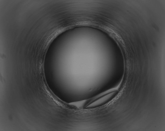 X0000090480993200708031121
