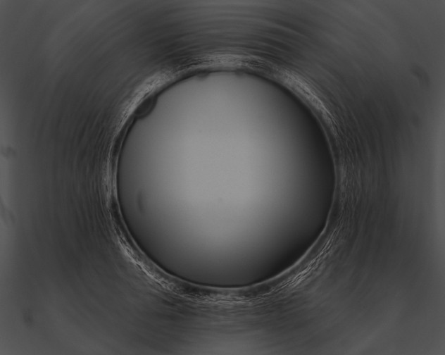 X0000090480994200708031121
