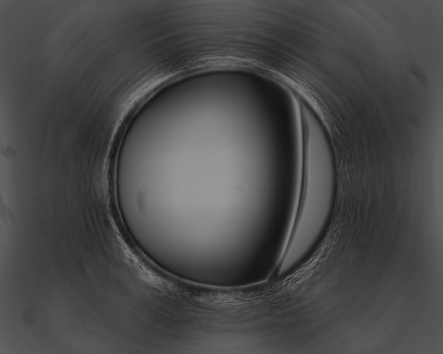 X0000090480995200708031121