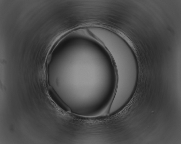 X0000090480996200708031121