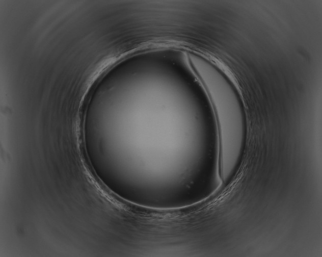 X0000090480997200708031121