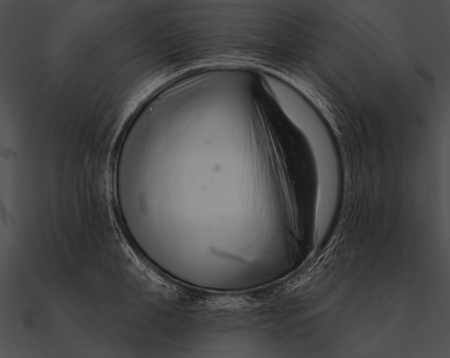 X0000090480998200708031121