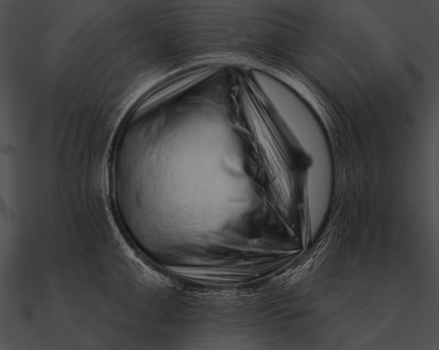 X0000090480999200708031121