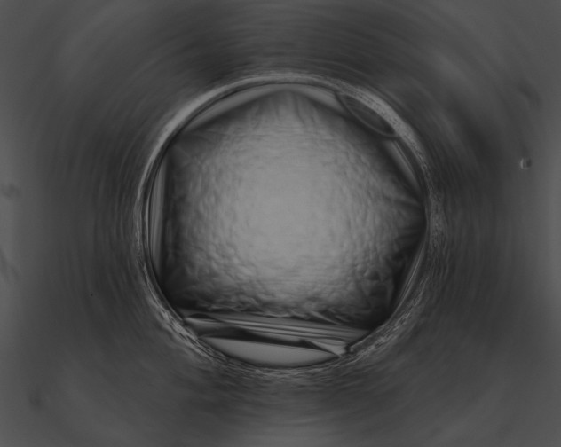 X0000090481004200708031120
