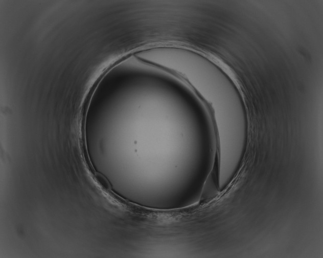 X0000090481005200708031120