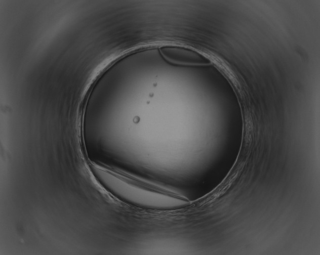 X0000090481006200708031120