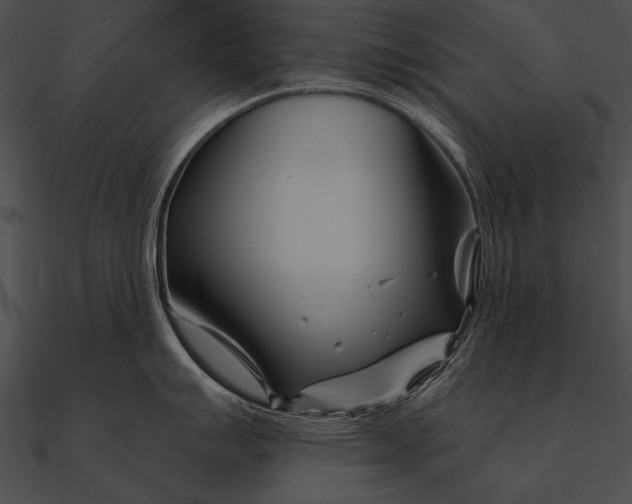 X0000090481007200708031120