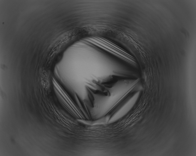 X0000090481012200708031120