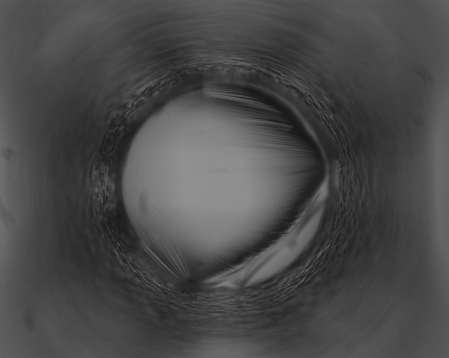 X0000090481013200708031120