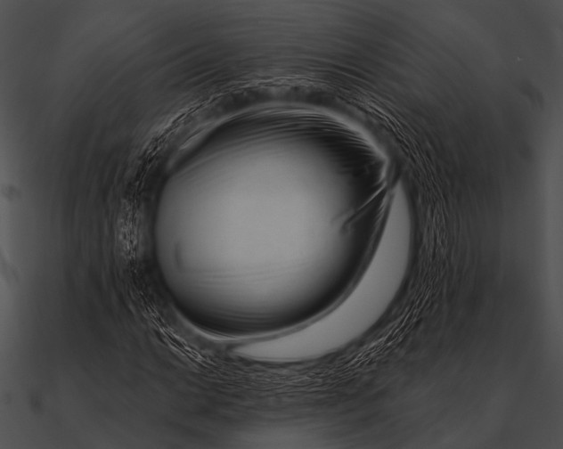 X0000090481014200708031120