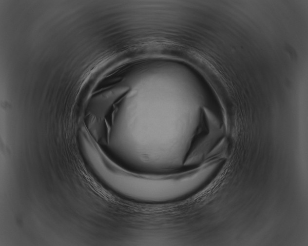 X0000090481018200708031120