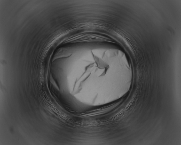 X0000090481019200708031120