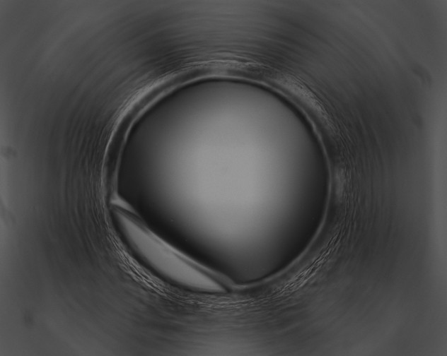 X0000090481020200708031120