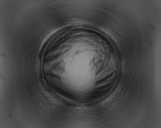 X0000090481021200708031120