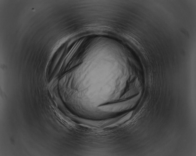X0000090481022200708031120