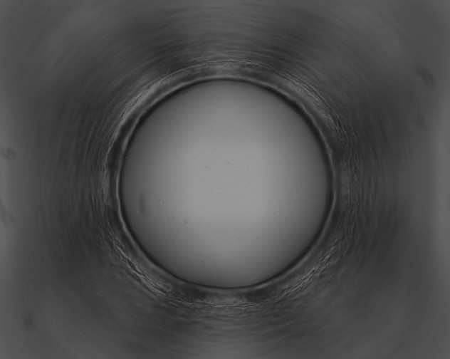 X0000090481023200708031120