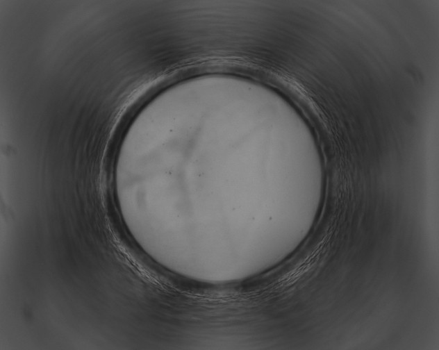 X0000090481024200708031120