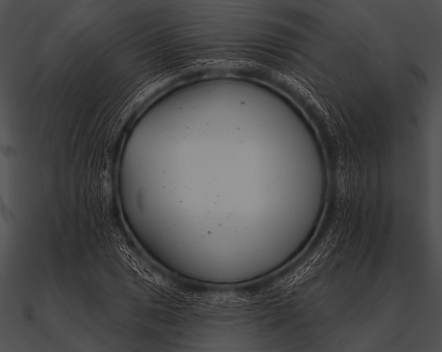 X0000090481025200708031120