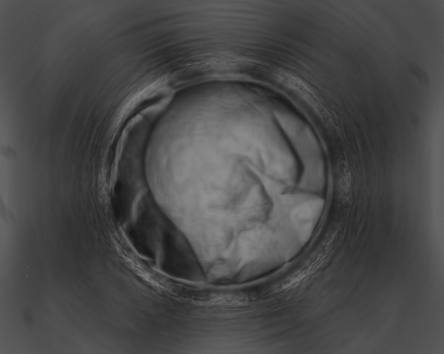 X0000090481026200708031120