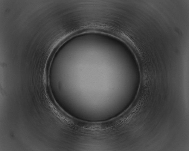 X0000090481028200708031120