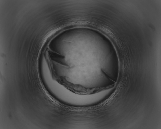 X0000090481030200708031120