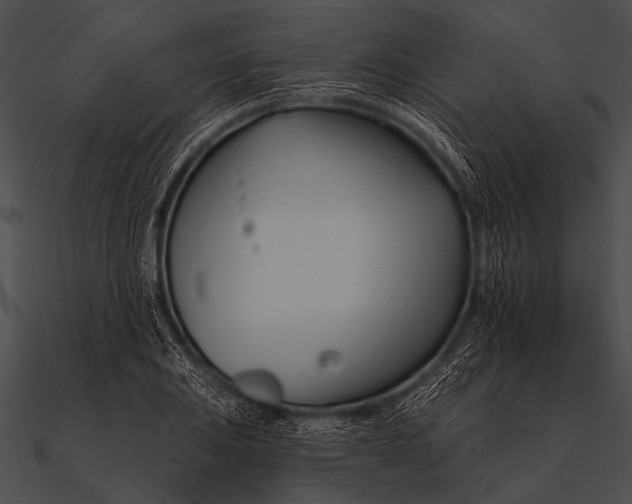 X0000090481031200708031120