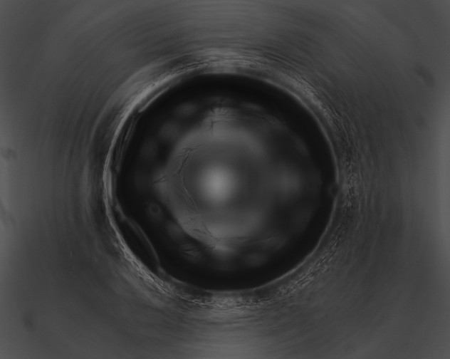 X0000090481032200708031120