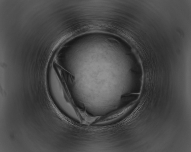 X0000090481034200708031120