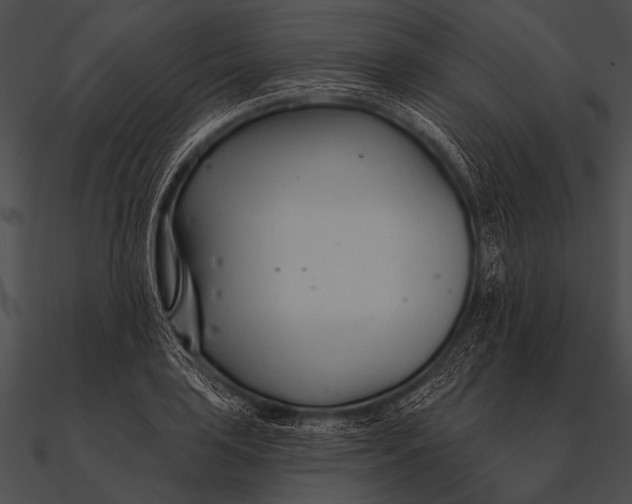 X0000090481035200708031120