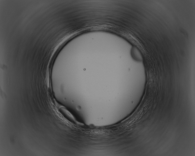 X0000090481036200708031120