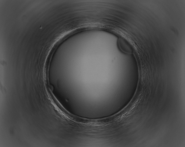 X0000090481037200708031120