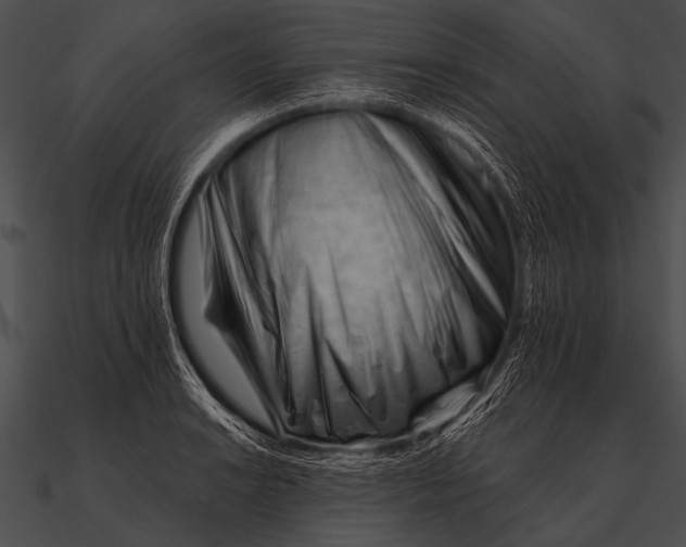 X0000090481038200708031120